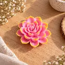 ChatGPT Image Sep 11, 2026, 05_41_41 PM.webp